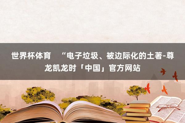 世界杯体育    “电子垃圾、被边际化的土著-尊龙凯龙时「中国」官方网站